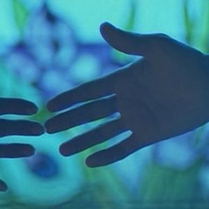 Bilder Spuren auf dem Mond