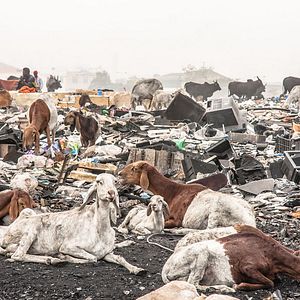 Bilder Welcome To Sodom - Dein Smartphone ist schon hier