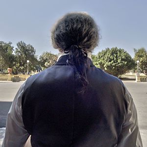 Bilder Bonifácio - O Fundador do Brasil