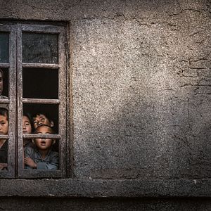 Bilder Wings of Freedom - Auf den Schwingen der Freiheit