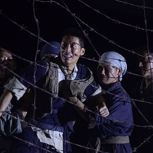 Bilder Wings of Freedom - Auf den Schwingen der Freiheit