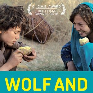 Bilder Wolf And Sheep