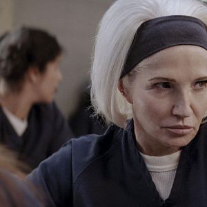 Bilder Animal Kingdom