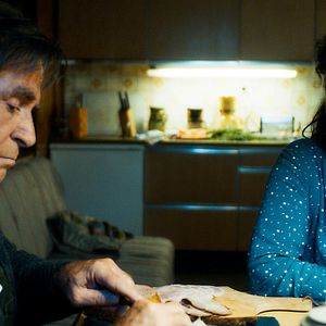 Bilder Grüner wird’s nicht, sagte der Gärtner und flog davon