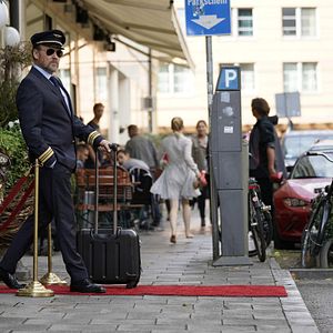 Bilder Safari - Match Me If You Can