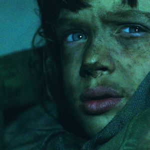 Bilder Deep In The Wood