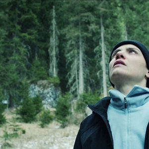 Bilder Deep In The Wood