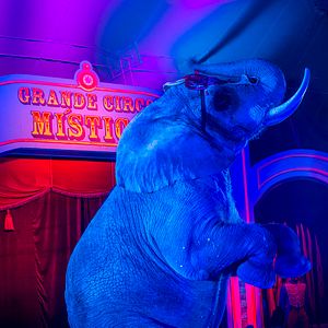 Bilder O grande circo místico