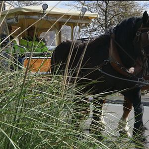 Bilder Grande-Synthe