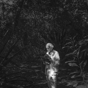 Bilder Hilda Hilst Pede Contato