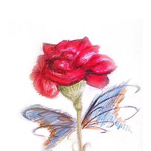 Bilder Sublime Cor do Teu Silêncio