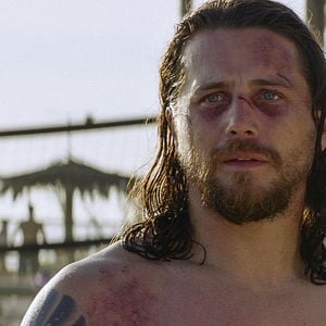 Bilder Animal Kingdom