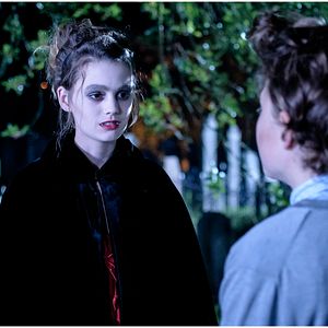 Bilder Rhabarber Rhabarber