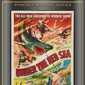 Bilder Abenteuer im roten Meer