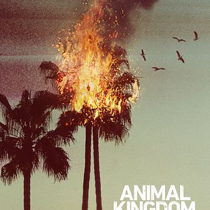 Bilder Animal Kingdom