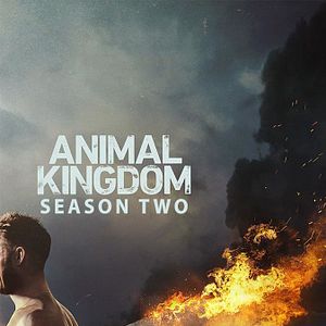 Bilder Animal Kingdom