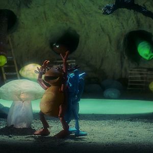 Bilder Tootletubs & Jyro