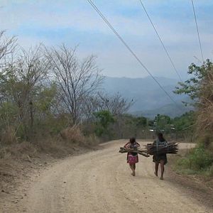 Bilder Siempre andamos caminando