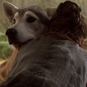 Bilder Game Of Thrones