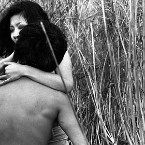 Bilder Twisted Path of Youth