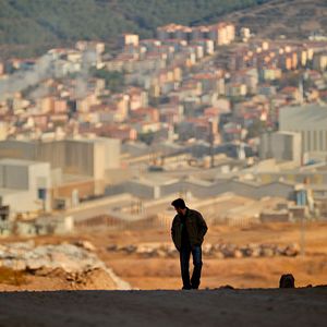 Bilder The Wild Pear Tree