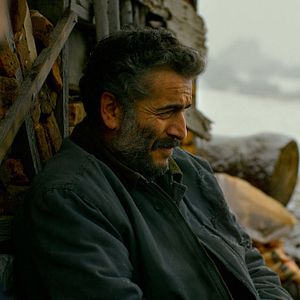 Bilder The Wild Pear Tree