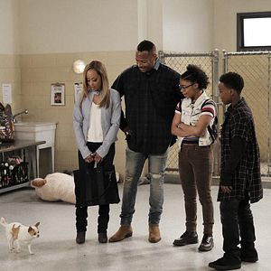 Bilder Amir O’Neil