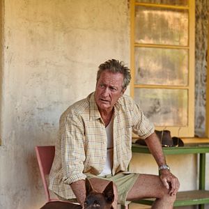 Bilder Red Dog - Mein treuer Freund