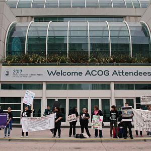 Bilder The Bleeding Edge