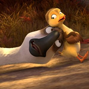 Bilder Gans im Glück