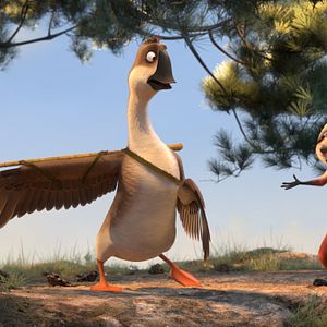 Bilder Gans im Glück