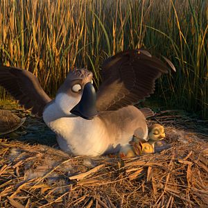 Bilder Gans im Glück