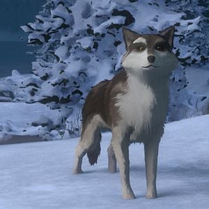 Bilder Die Abenteuer von Wolfsblut