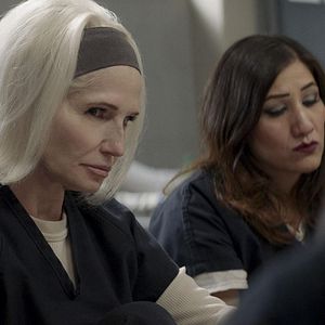 Bilder Animal Kingdom