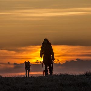 Bilder Kodi Smit-McPhee