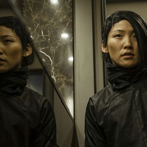 Bilder Asphaltgorillas