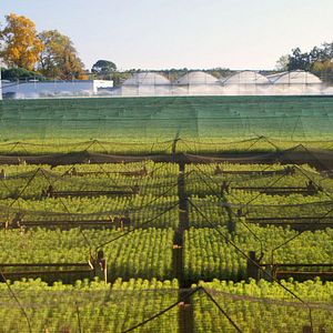 Bilder Le Temps des forêts