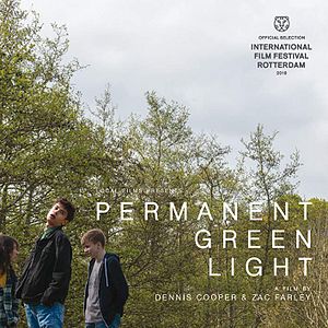 Bilder Permanent Green Light