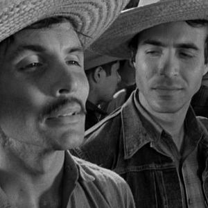 Bilder Tödliche Grenze