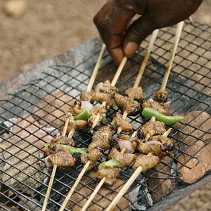 Bilder Was essen wir morgen?