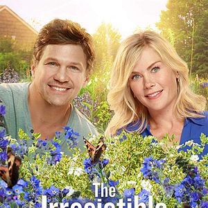 Bilder The Irresistible Blueberry Farm