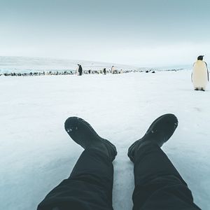 Bilder Projekt: Antarktis