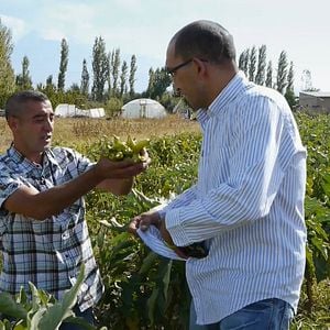 Bilder Tokat - Das Leben schlägt zurück