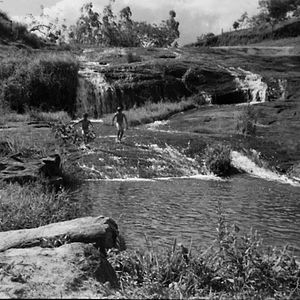 Bilder Humberto Mauro, Cinema É Cachoeira