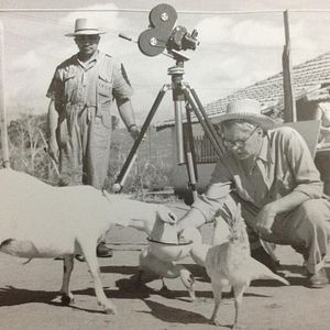 Bilder Humberto Mauro, Cinema É Cachoeira