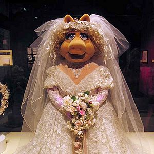 Bilder Die Muppets erobern Manhattan