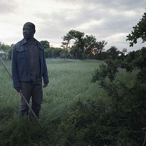Bilder Fear The Walking Dead