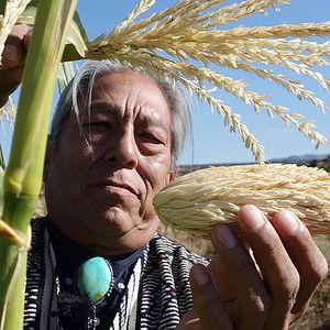 Bilder Unser Saatgut - Wir ernten, was wir säen