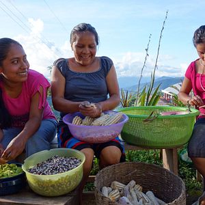 Bilder Unser Saatgut - Wir ernten, was wir säen