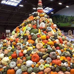 Bilder Unser Saatgut - Wir ernten, was wir säen